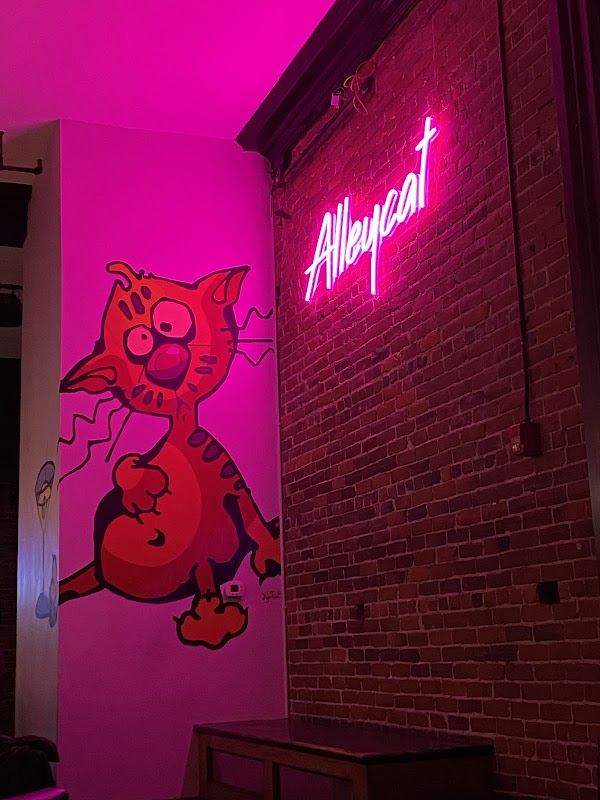 alley cat 3