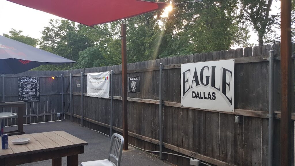dallas eagle 1 1024x576