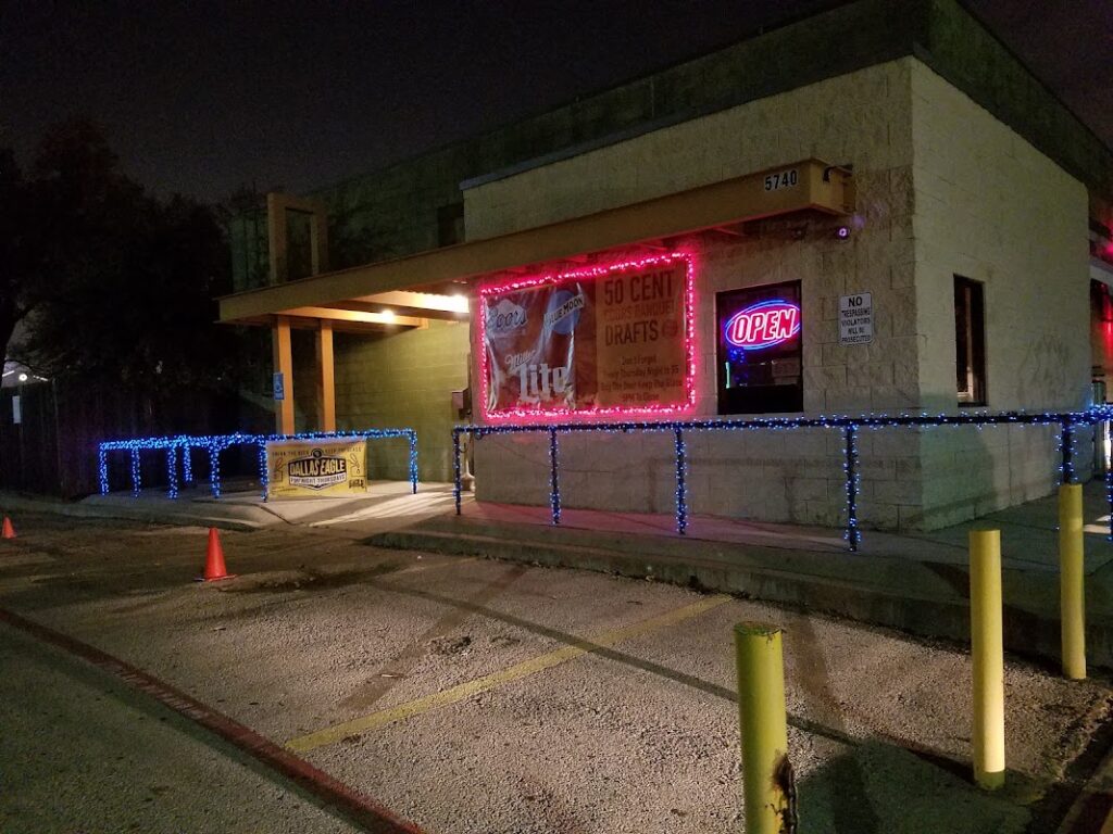 dallas eagle 5 1024x768