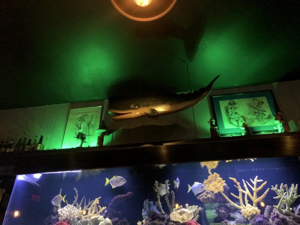 moby dick 10 1024x768