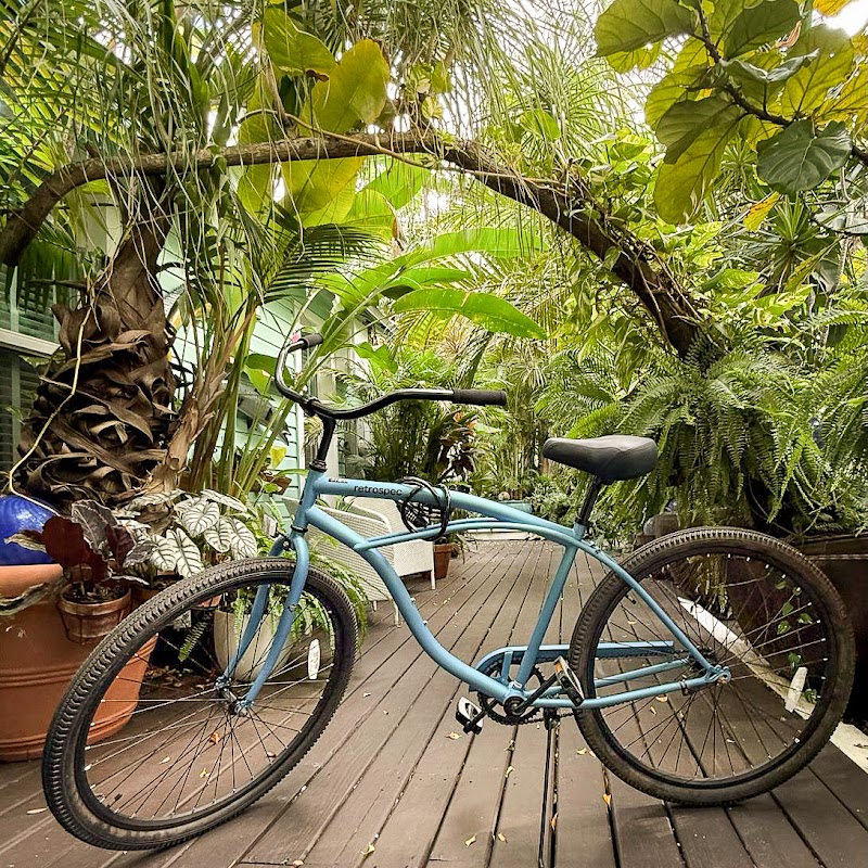 pineapple point guest house 7