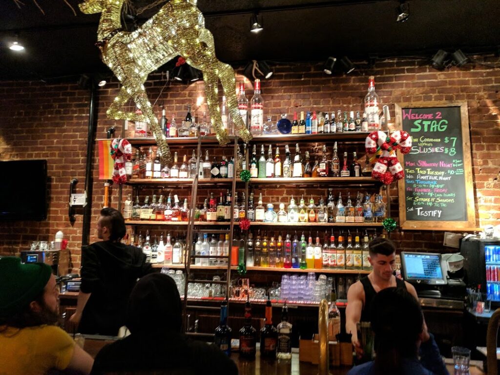 stag pdx 3 1024x768